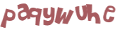 CAPTCHA 挑戰