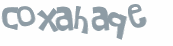 CAPTCHA-haaste