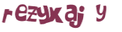 Captcha 챌린지
