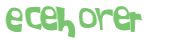 CAPTCHA 挑戰