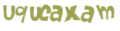 Wyzwanie captcha