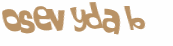 CAPTCHA 挑戰