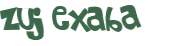 CAPTCHA 挑戰