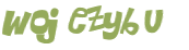 Wyzwanie captcha