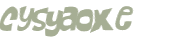 CAPTCHA 挑戰