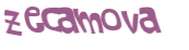 Wyzwanie captcha