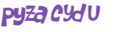 CAPTCHA 挑戰