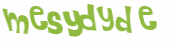 Captcha-test