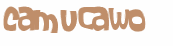 CAPTCHA 挑戰