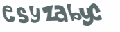 Captcha 챌린지