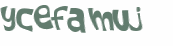 Wyzwanie captcha