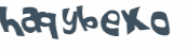 Captcha 챌린지