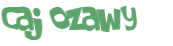 Wyzwanie captcha