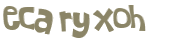 Captcha 챌린지