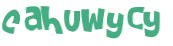 CAPTCHA 挑戰