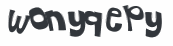 CAPTCHA 挑戰