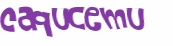 キャプチャ認証