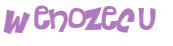 CAPTCHA 挑戰