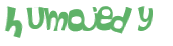 Desafio captcha