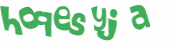 Desafio captcha