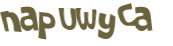 Captchafråga