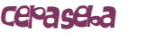 Captcha 챌린지
