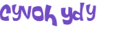 CAPTCHA 挑戰