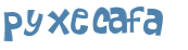 CAPTCHA 挑戰