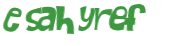 Captcha-Test
