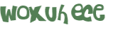 Wyzwanie captcha
