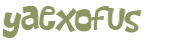 Wyzwanie captcha