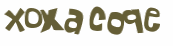 Wyzwanie captcha