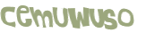 CAPTCHA 挑戰