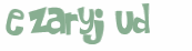 Wyzwanie captcha
