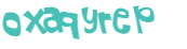 CAPTCHA 挑戰