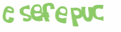 Captcha 챌린지