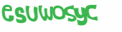 Captcha 챌린지