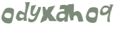 Captcha 챌린지