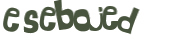 Desafio captcha