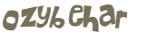 Captcha 챌린지