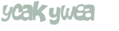 Wyzwanie captcha