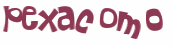 Desafio Captcha