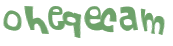 Captcha 챌린지