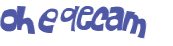 CAPTCHA 挑戰