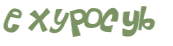 CAPTCHA 挑戰