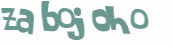 CAPTCHA 挑戰