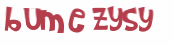 Captcha挑战