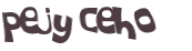 Wyzwanie captcha