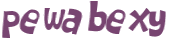 CAPTCHA 挑戰