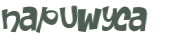 CAPTCHA 挑戰